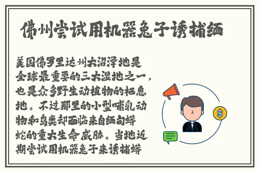 申鹤腿法娴熟脚法熟练
